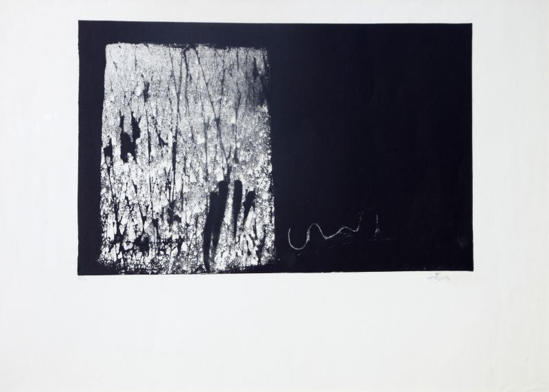 TÀPIES--recC6xnPEsMcQrVCF