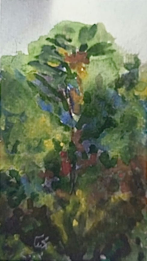 Original Watercolor 'Lush Green Tree in Garden' by Mohammad Bushnaq
