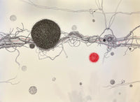Hanan Mousa — Ink on paper, 107 × 80 cm (representative image)