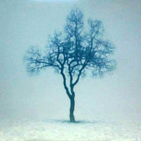 Tobias SPIERENBURG — Photography  , 110 × 110 cm (representative image)