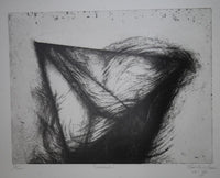 Goh Ee Choo — Etching , 76 × 56 cm (representative image)