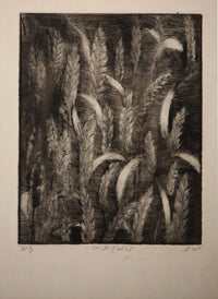 Maha Mohammed — Graphic, Print Making , 25 × 37 cm (representative image)