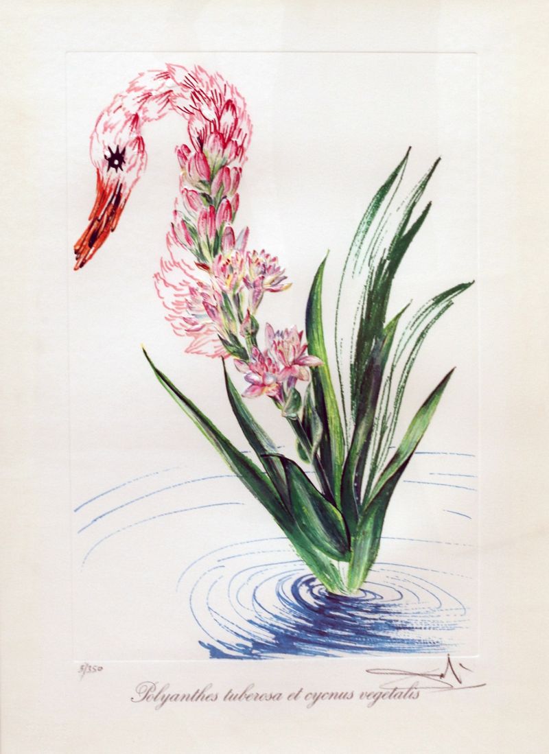 Dali-1972-recwDggwBLueezX5J