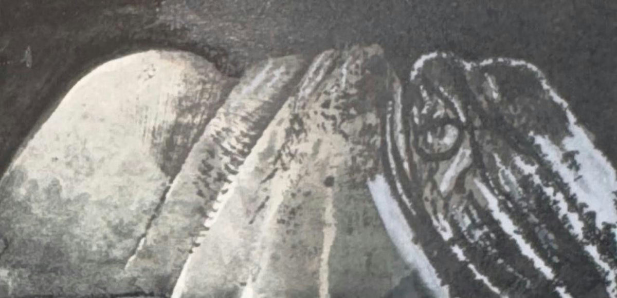 Original Mixed media 'Close-Up Bird Heads in Monochrome' by Mohammad Bushnaq