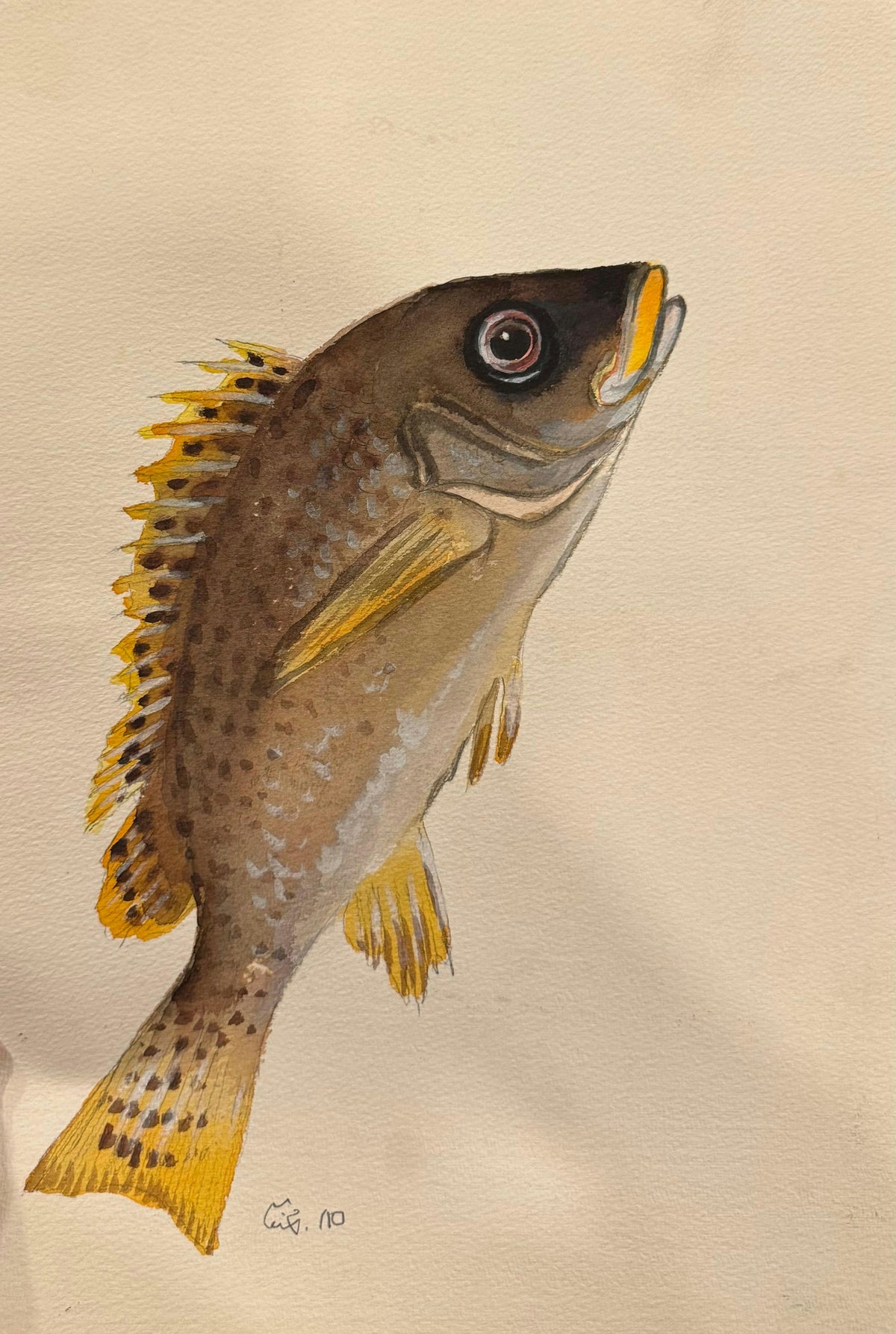 Original Watercolor 'Brown Fish with Yellow Fins' by Mohammad Bushnaq