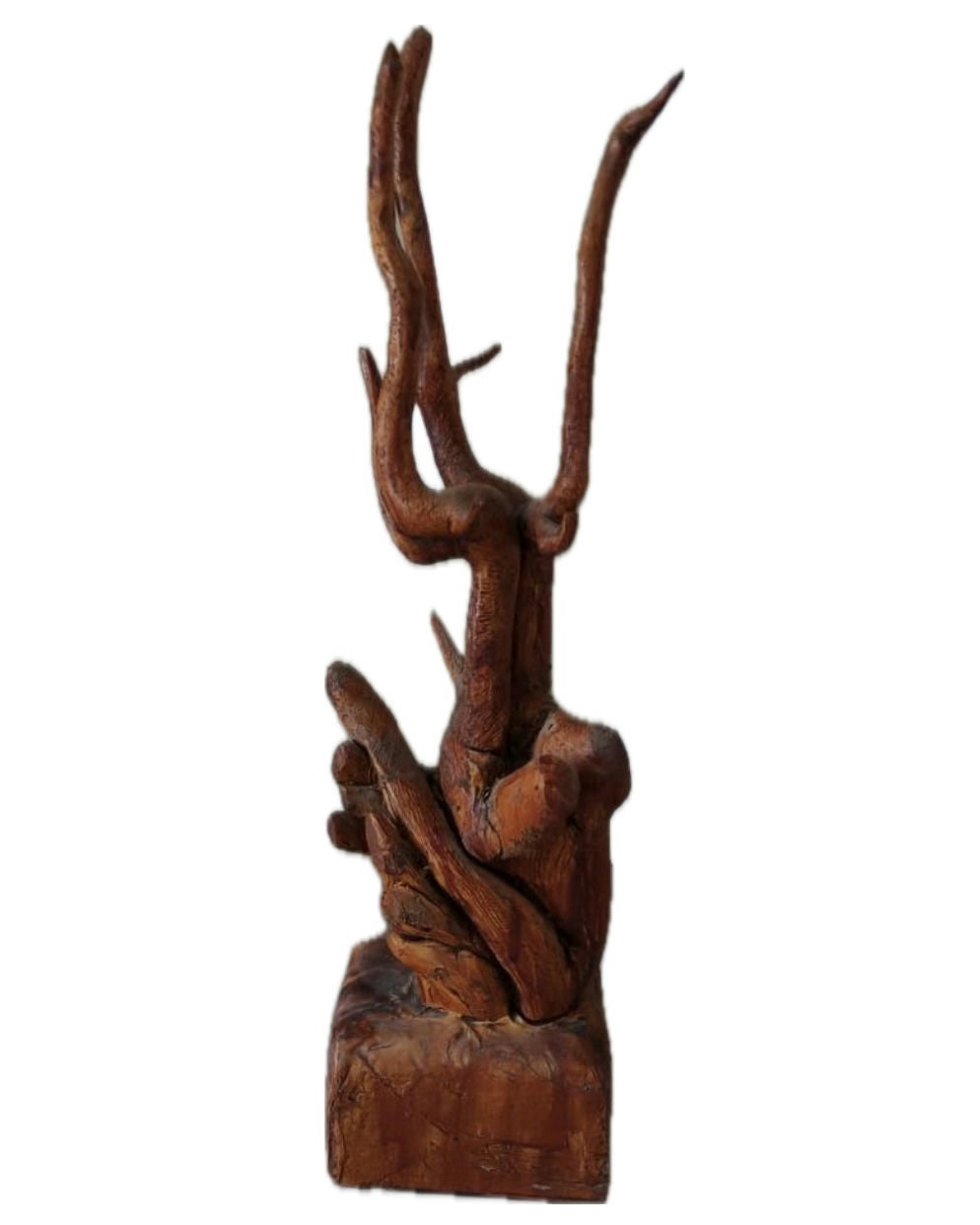 Original Sculptures & Ceramics 'Abstract Wood Branch Sculpture' by Mohammad Bushnaq